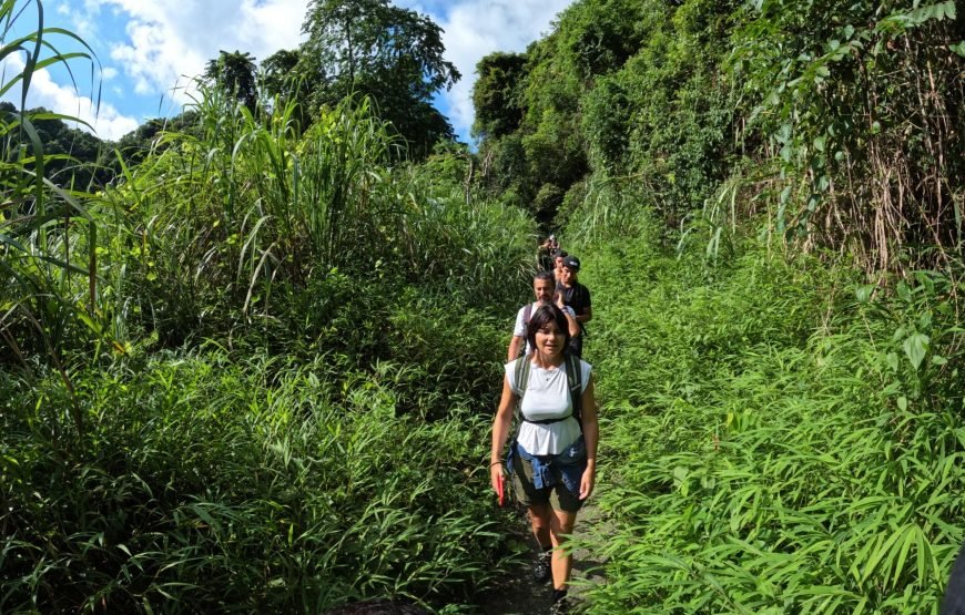 Full day trekking Cat Ba National park to Viet Hai Village , kayaking on the Lan Ha Bay