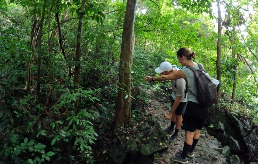 Full day trekking Cat Ba National park to Viet Hai Village , kayaking on the Lan Ha Bay