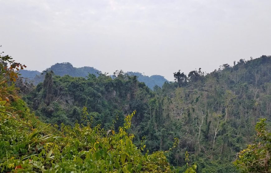 Full day trekking Cat Ba National park to Viet Hai Village , kayaking on the Lan Ha Bay