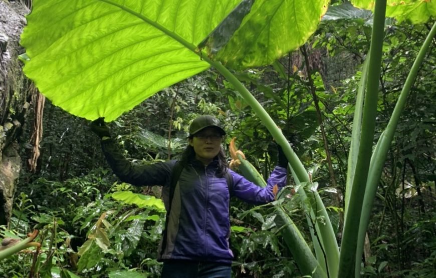 Full day trekking Cat Ba National park to Viet Hai Village , kayaking on the Lan Ha Bay