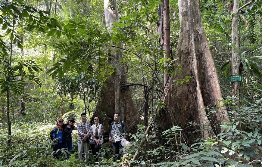 Full day trekking Cat Ba National park to Viet Hai Village , kayaking on the Lan Ha Bay