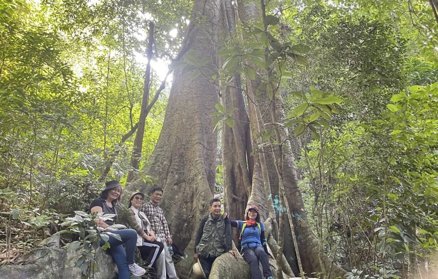 Full day trekking Cat Ba National park to Viet Hai Village , kayaking on the Lan Ha Bay