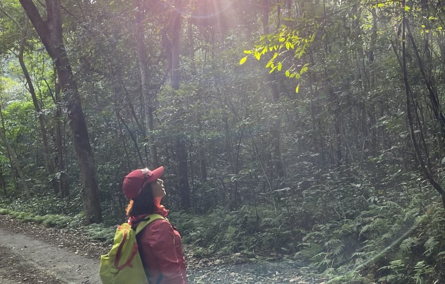 Full day trekking Cat Ba National park to Viet Hai Village , kayaking on the Lan Ha Bay