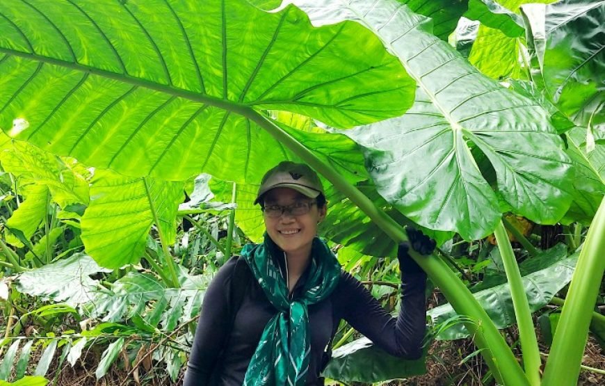Full day trekking Cat Ba National park to Viet Hai Village , kayaking on the Lan Ha Bay