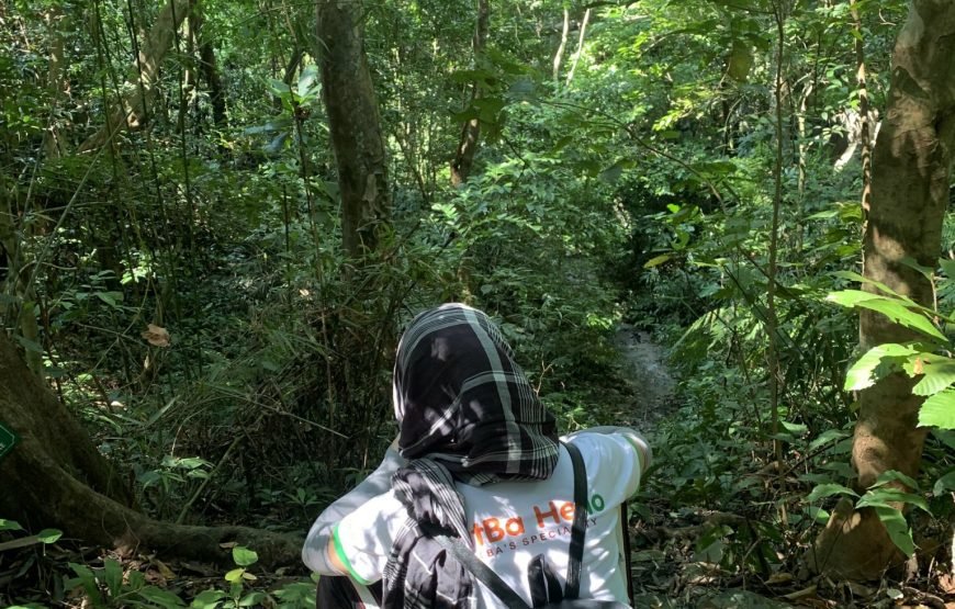Full day trekking Cat Ba National park to Viet Hai Village , kayaking on the Lan Ha Bay