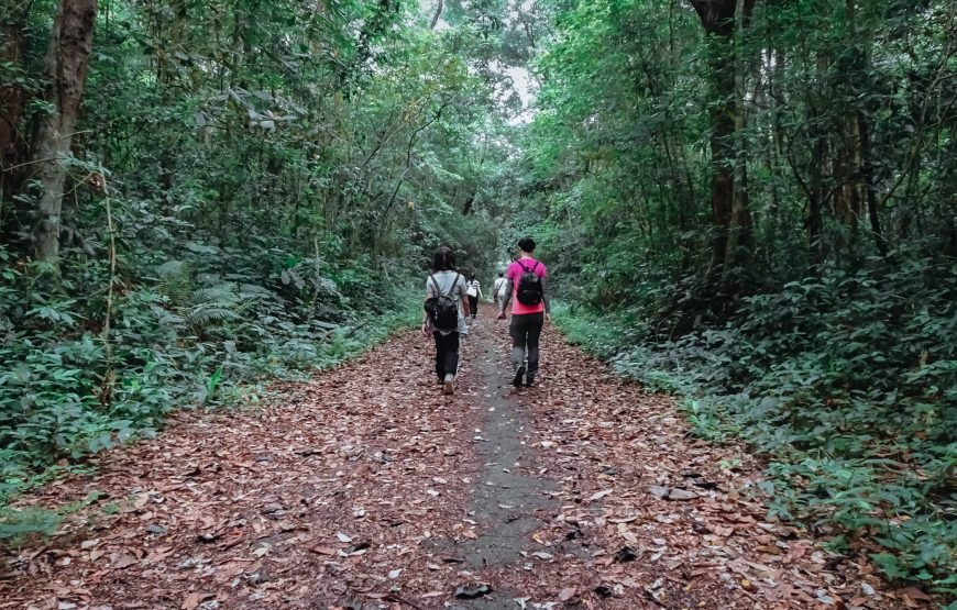 Full day trekking Cat Ba National park to Viet Hai Village , kayaking on the Lan Ha Bay