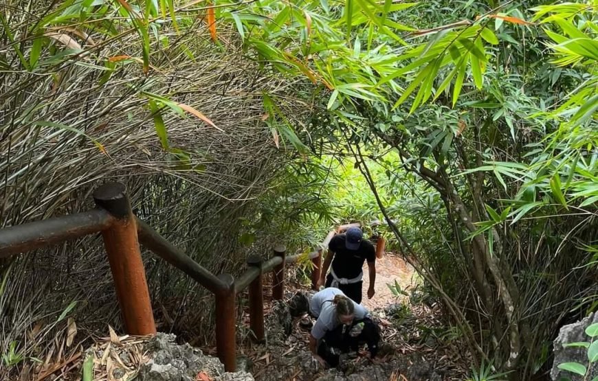 Half day Trekking to Visit Cat Ba National Park – Ngu Lam Peak – Trung Trang Cave