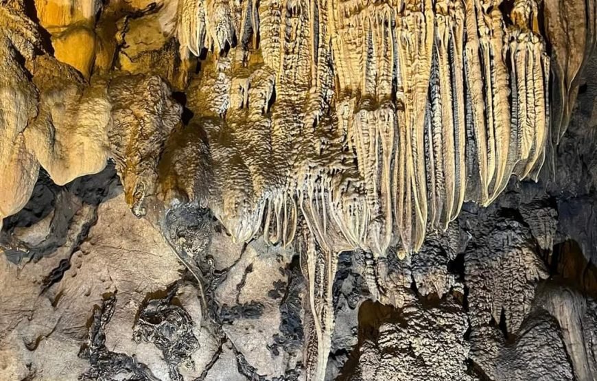 Half day Trekking to Visit Cat Ba National Park – Ngu Lam Peak – Trung Trang Cave