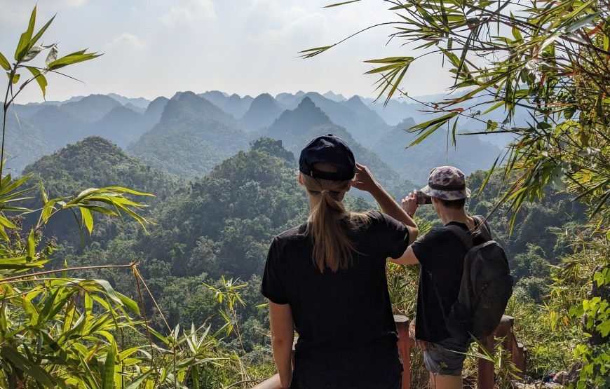 Half day Trekking to Visit Cat Ba National Park – Ngu Lam Peak – Trung Trang Cave