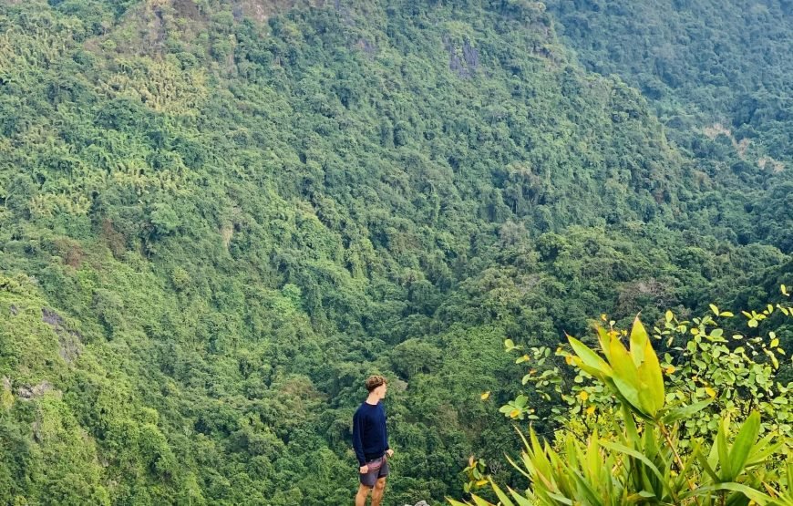 Half day Trekking to Visit Cat Ba National Park – Ngu Lam Peak – Trung Trang Cave