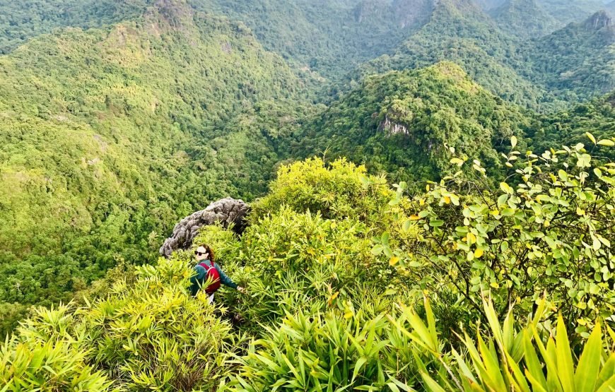 Half day Trekking to Visit Cat Ba National Park – Ngu Lam Peak – Trung Trang Cave