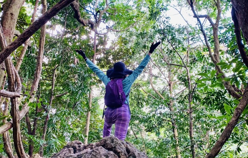 Half day Trekking to Visit Cat Ba National Park – Ngu Lam Peak – Trung Trang Cave