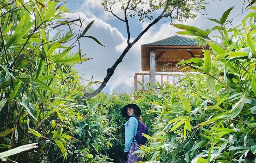 Half day Trekking to Visit Cat Ba National Park – Ngu Lam Peak – Trung Trang Cave