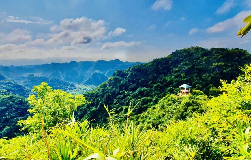 Half day Trekking to Visit Cat Ba National Park – Ngu Lam Peak – Trung Trang Cave