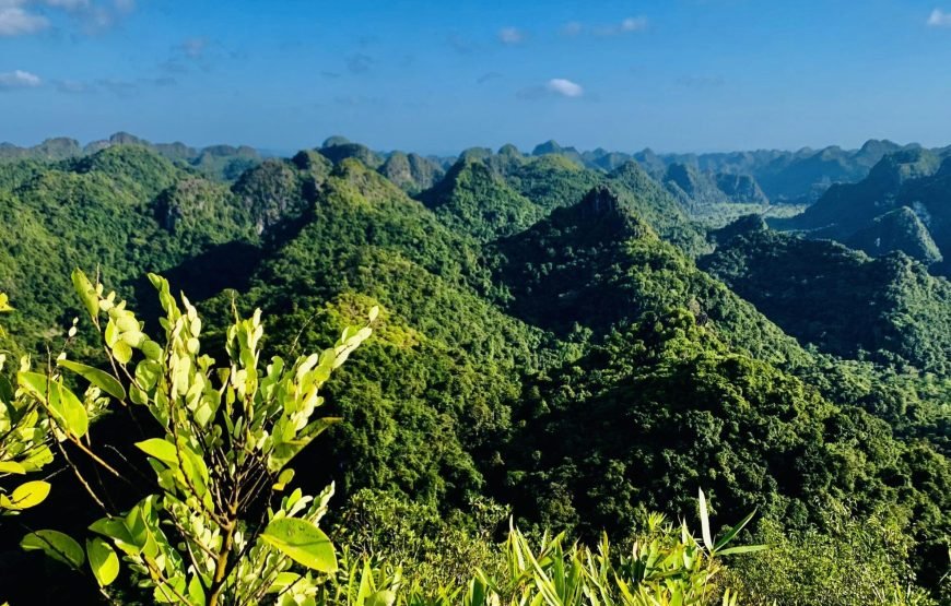 Half day Trekking to Visit Cat Ba National Park – Ngu Lam Peak – Trung Trang Cave