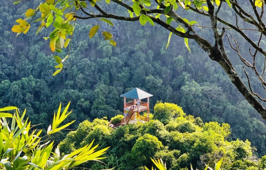 Half day Trekking to Visit Cat Ba National Park – Ngu Lam Peak – Trung Trang Cave