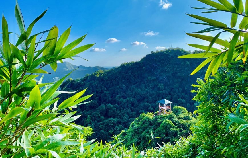 Half day Trekking to Visit Cat Ba National Park – Ngu Lam Peak – Trung Trang Cave